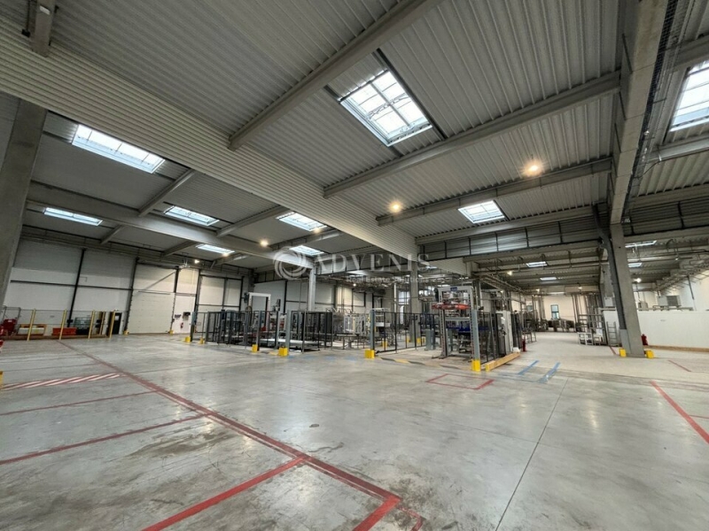 Location Activités Entrepôts SUCY-EN-BRIE (94370) - Photo 4