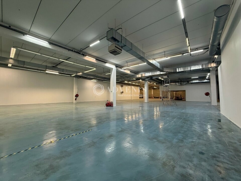 Location Activités Entrepôts IVRY SUR SEINE (94200) - Photo 6