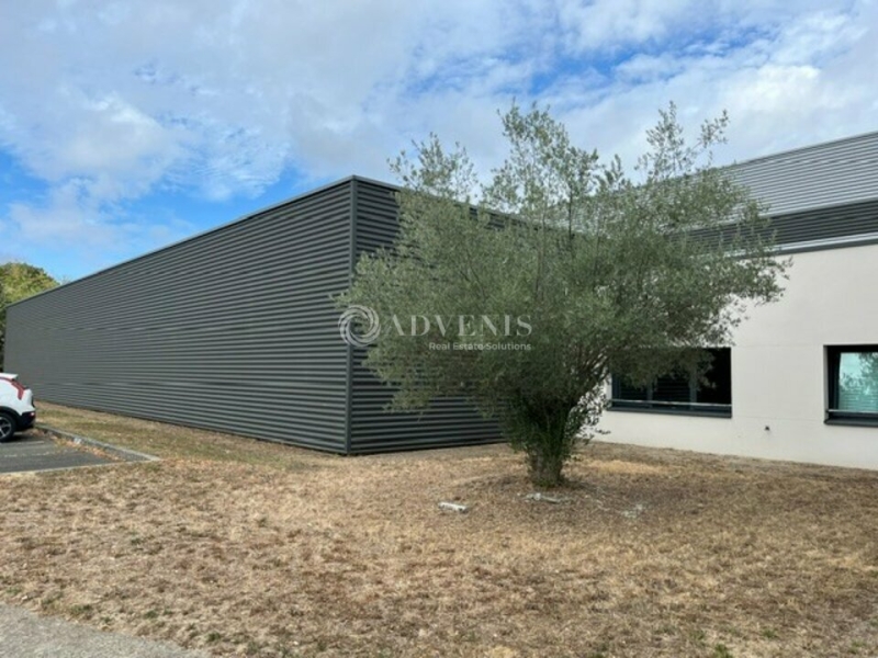 Location Activités Entrepôts POISSY (78300) - Photo 7