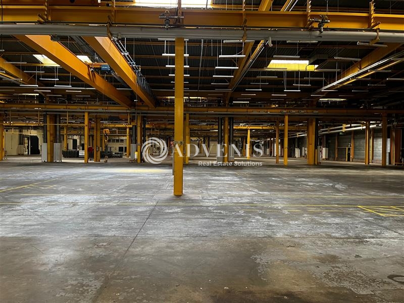 Location Entrepôts JOUE LES TOURS (37300) - Photo 2