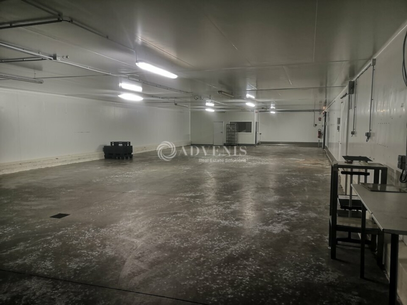 Vente Investisseur Entrepôts MONTBAZON (37250) - Photo 3