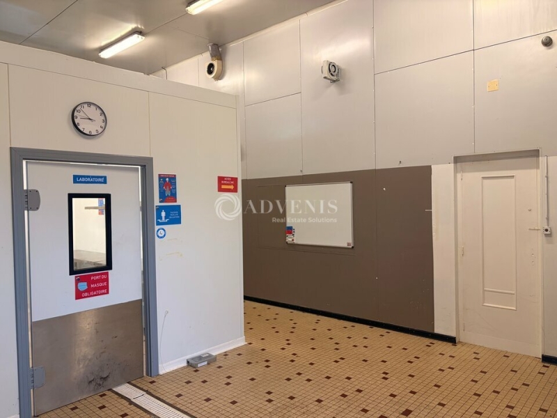 Location Activités Entrepôts SAINT AVERTIN (37550) - Photo 7