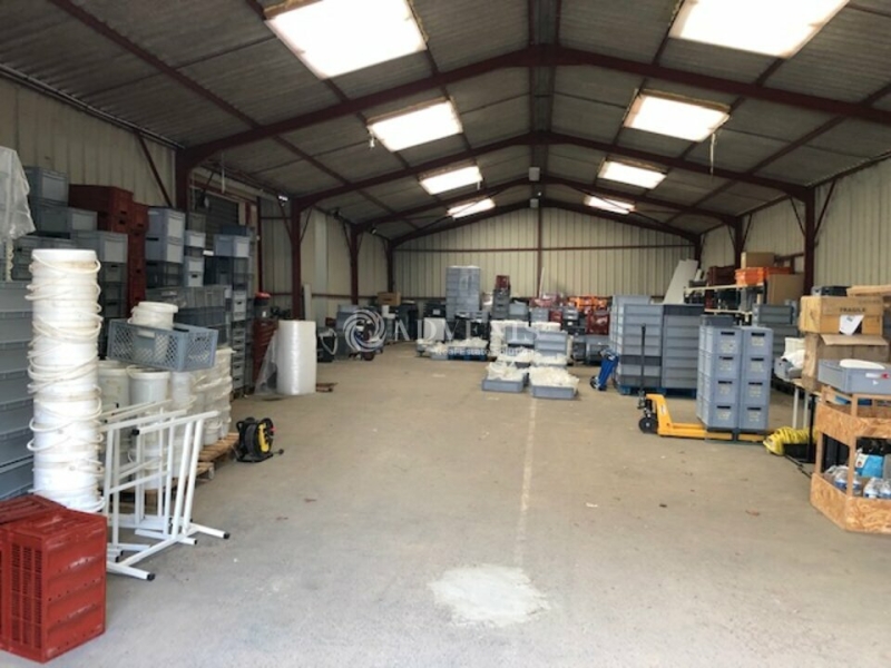 Location Bureaux et activités légères SAINT AVERTIN (37550) - Photo 7