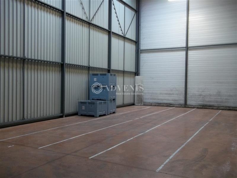 Location Activités Entrepôts LE CONTROIS EN SOLOGNE (41120) - Photo 2