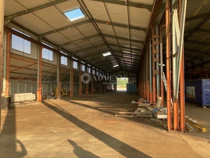 Location Activités Entrepôts SAINT LAURENT NOUAN (41220) - Photo 1