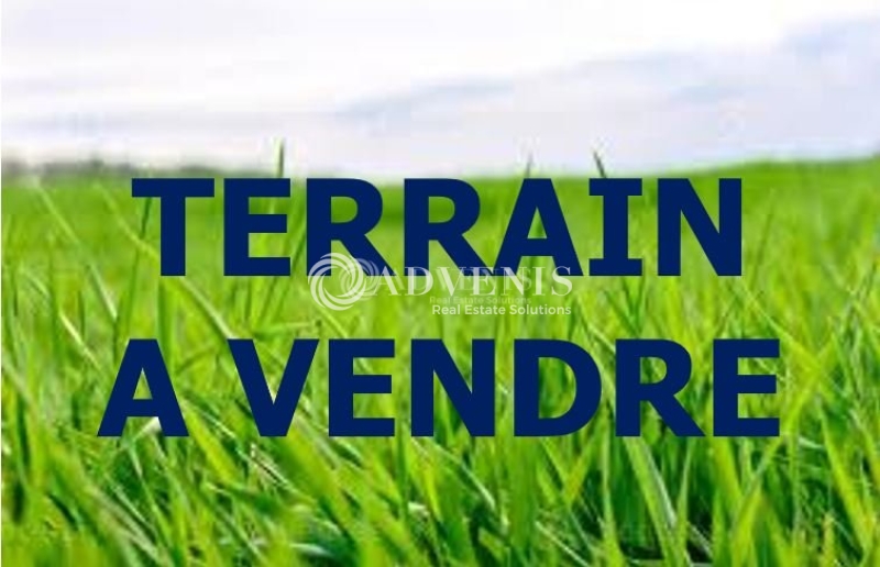 Vente Investisseur Terrain LE CONTROIS EN SOLOGNE (41700) - Photo 1