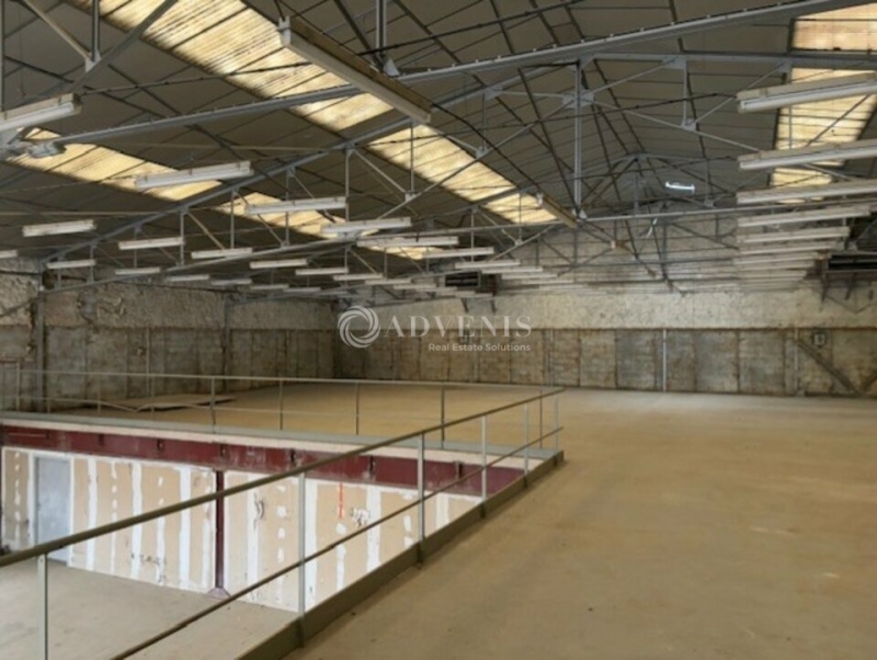 Vente Investisseur Activités Entrepôts BLOIS (41000) - Photo 3