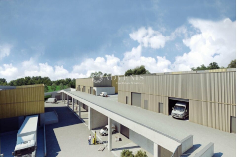 Vente Investisseur Bureaux VILLENEUVE LES MAGUELONE (34750) - Photo 1