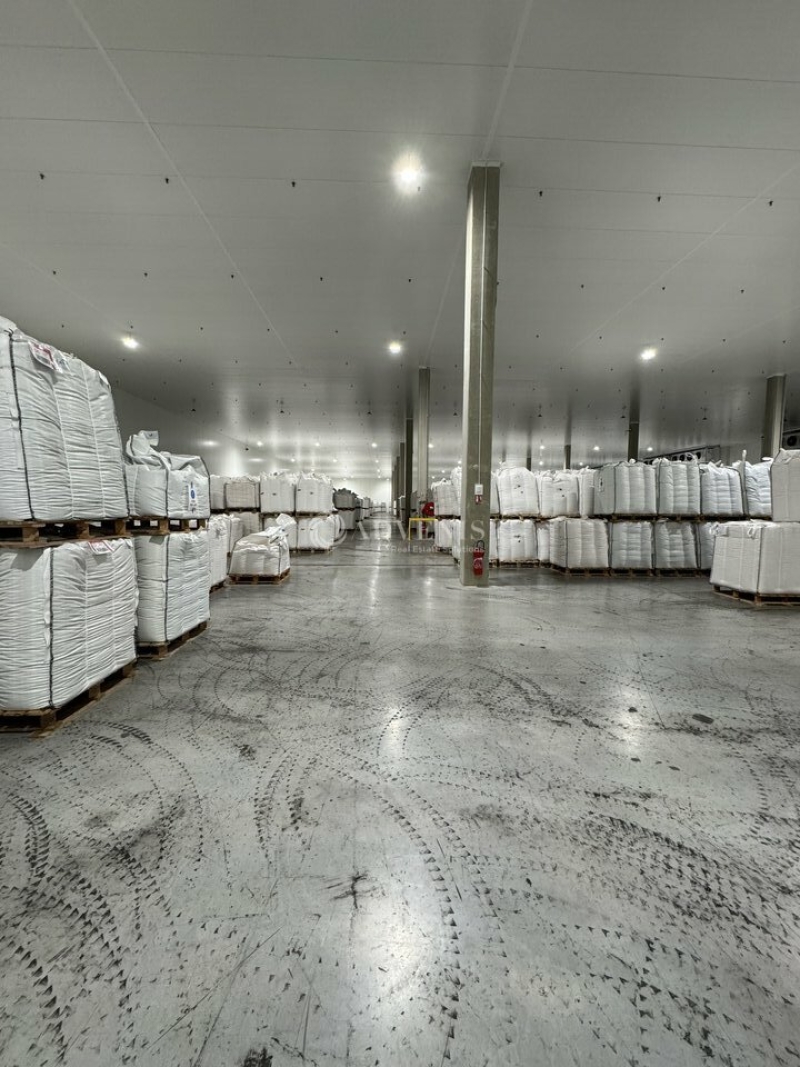 Vente Investisseur Entrepôts LÉZIGNAN-CORBIÈRES (11200) - Photo 1