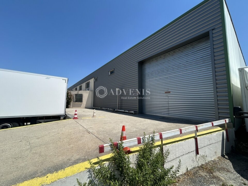 Location Activités Entrepôts SAINT JEAN DE VEDAS (34430) - Photo 5