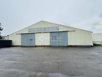 Advenis RES - Immobilier d'entreprises