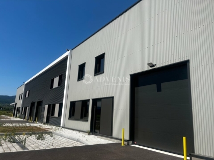 Advenis RES - Immobilier d'entreprises