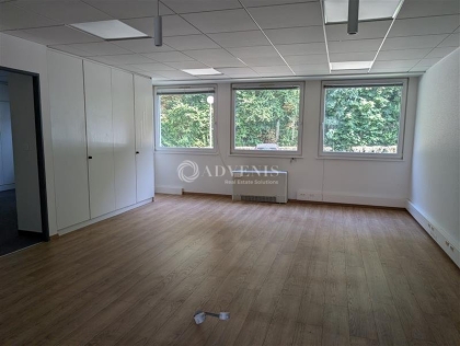 Advenis RES - Immobilier d'entreprises