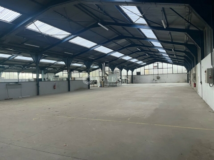 Advenis RES - Immobilier d'entreprises