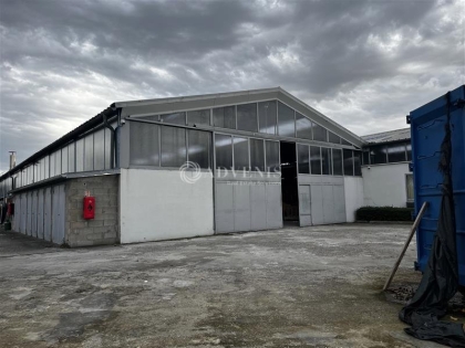 Advenis RES - Immobilier d'entreprises