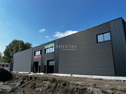 Advenis RES - Immobilier d'entreprises