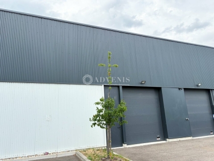 Advenis RES - Immobilier d'entreprises