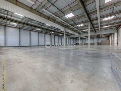 Advenis RES - Immobilier d'entreprises