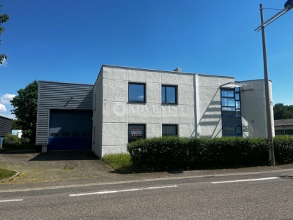 Advenis RES - Immobilier d'entreprises