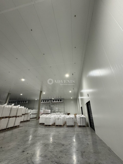 Advenis RES - Immobilier d'entreprises