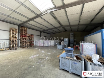 Advenis RES - Immobilier d'entreprises