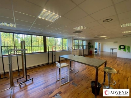 Advenis RES - Immobilier d'entreprises