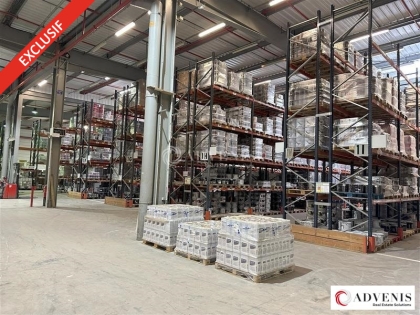 Advenis RES - Immobilier d'entreprises