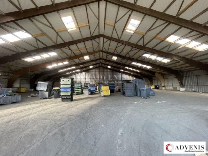 Advenis RES - Immobilier d'entreprises