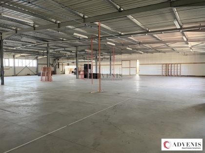 Advenis RES - Immobilier d'entreprises