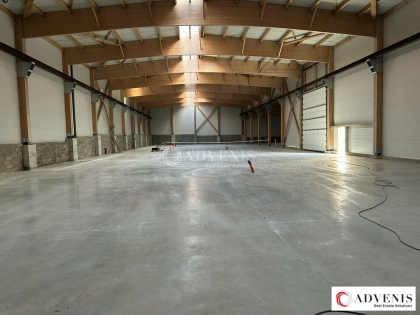 Advenis RES - Immobilier d'entreprises