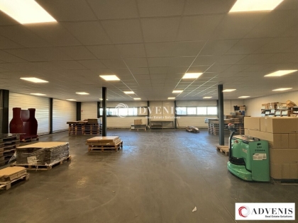 Advenis RES - Immobilier d'entreprises