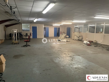 Advenis RES - Immobilier d'entreprises