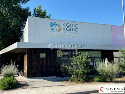 Advenis RES - Immobilier d'entreprises