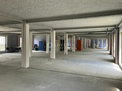Advenis RES - Immobilier d'entreprises