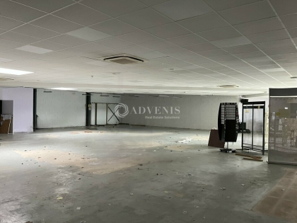 Advenis RES - Immobilier d'entreprises