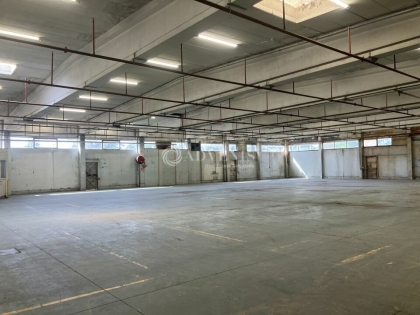 Advenis RES - Immobilier d'entreprises