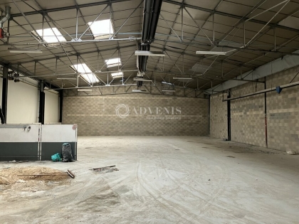 Advenis RES - Immobilier d'entreprises