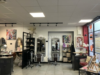 Advenis RES - Immobilier d'entreprises