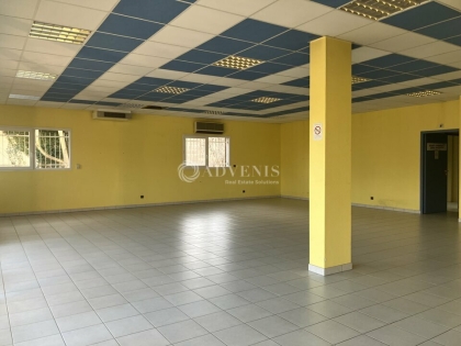 Advenis RES - Immobilier d'entreprises