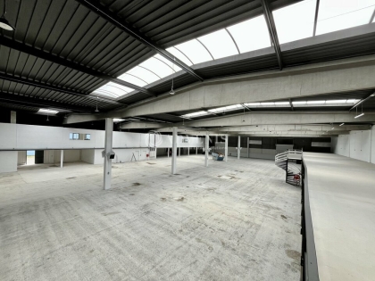 Advenis RES - Immobilier d'entreprises
