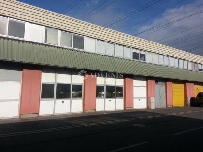 Advenis RES - Immobilier d'entreprises