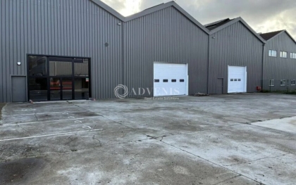 Advenis RES - Immobilier d'entreprises