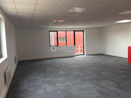 Advenis RES - Immobilier d'entreprises