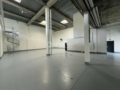 Advenis RES - Immobilier d'entreprises