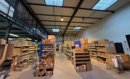 Advenis RES - Immobilier d'entreprises