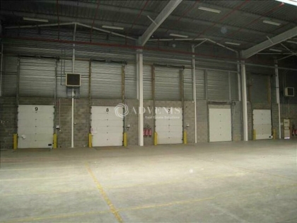 Advenis RES - Immobilier d'entreprises