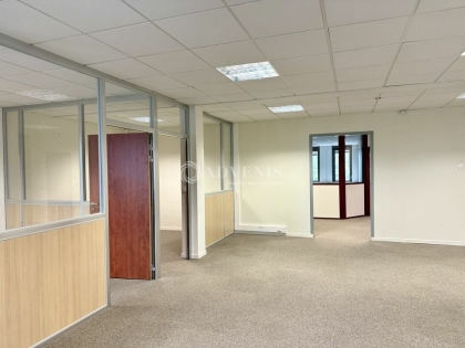 Advenis RES - Immobilier d'entreprises