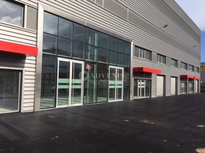 Advenis RES - Immobilier d'entreprises
