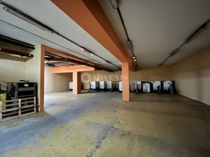 Advenis RES - Immobilier d'entreprises