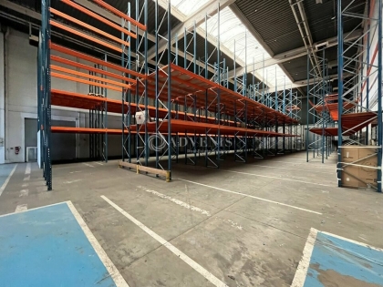 Advenis RES - Immobilier d'entreprises